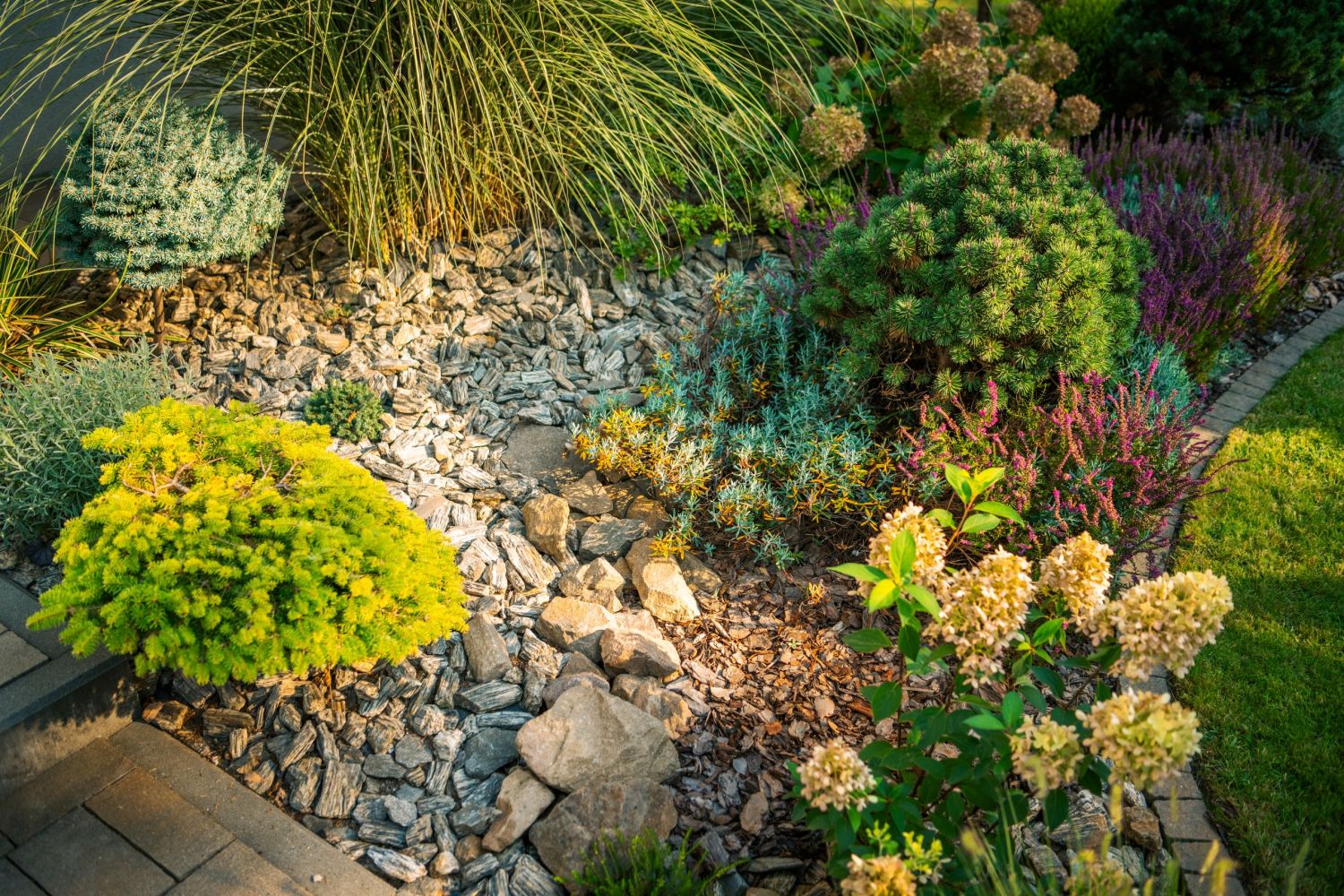 A vibrant garden features a mix of greenery and flowering plants, accented by rocky pathways and enhanced by the warm glow of the early evening sun.